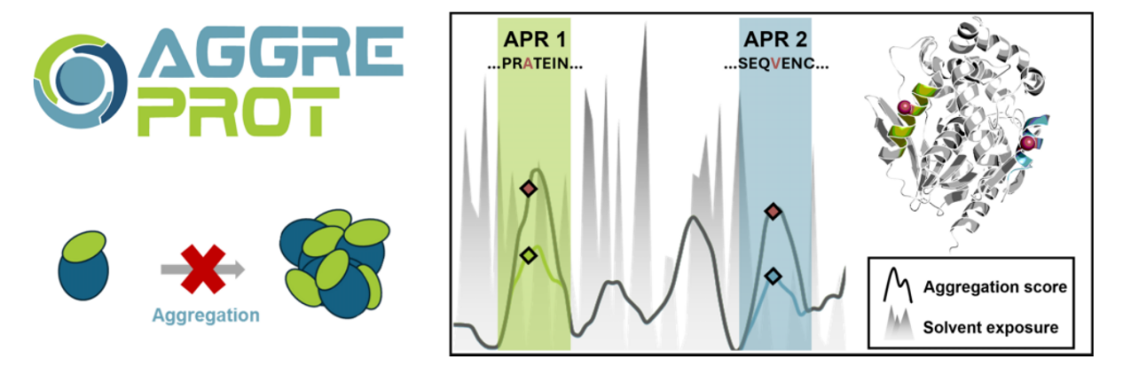 AggreProt: a web server for predicting and engineering aggregation pron eregions in proteins